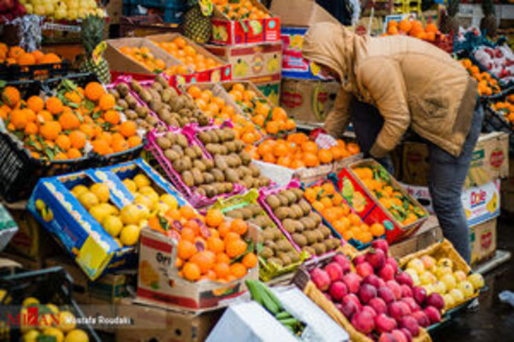 رئیس اتحادیه میوه و تره‌بار مشهد: انتظار کاهش قیمت میوه در شب عید را داریم