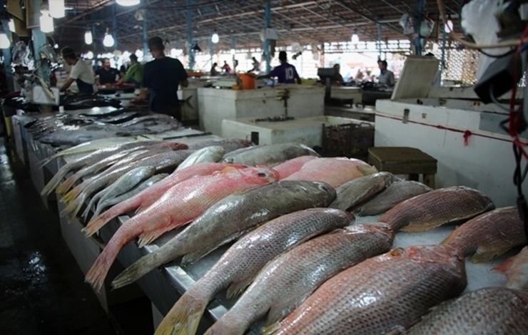 قیمت ماهی از شوریده ۲۶۵ هزار تومانی تا آزاد پرورشی ۳۵ هزار تومانی | سبزی‌پلو ماهی شب عید چقدر آب می‎خورد؟