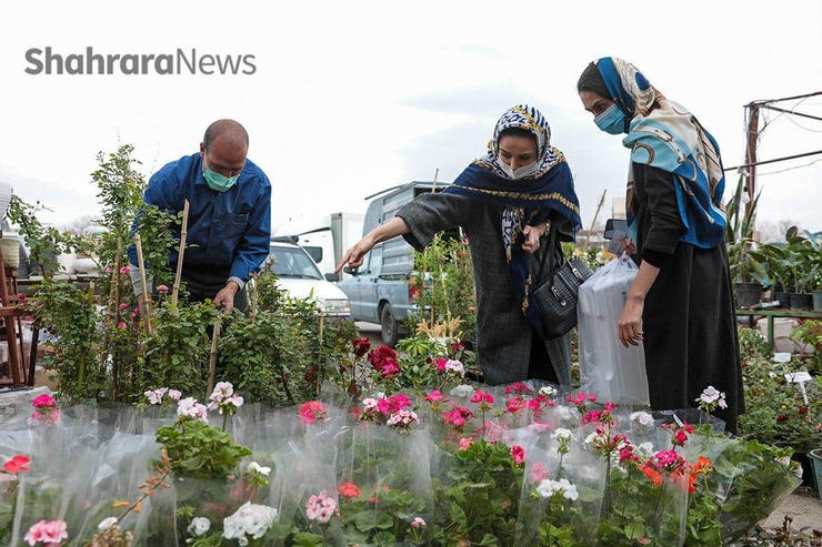 رونق بازار گل مشهد زیرسایه کرونا در آستانه بهار ۱۴۰۰