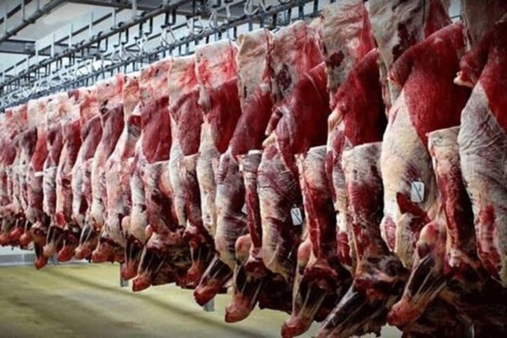 توزیع گوشت‌ گوساله بسته‌بندی شده با قیمت ۹۹هزارتومان در مشهد
