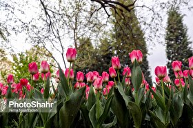 تقویم سال 1400 هجری شمسی | به‌همراه مناسبت‌ها + دانلود