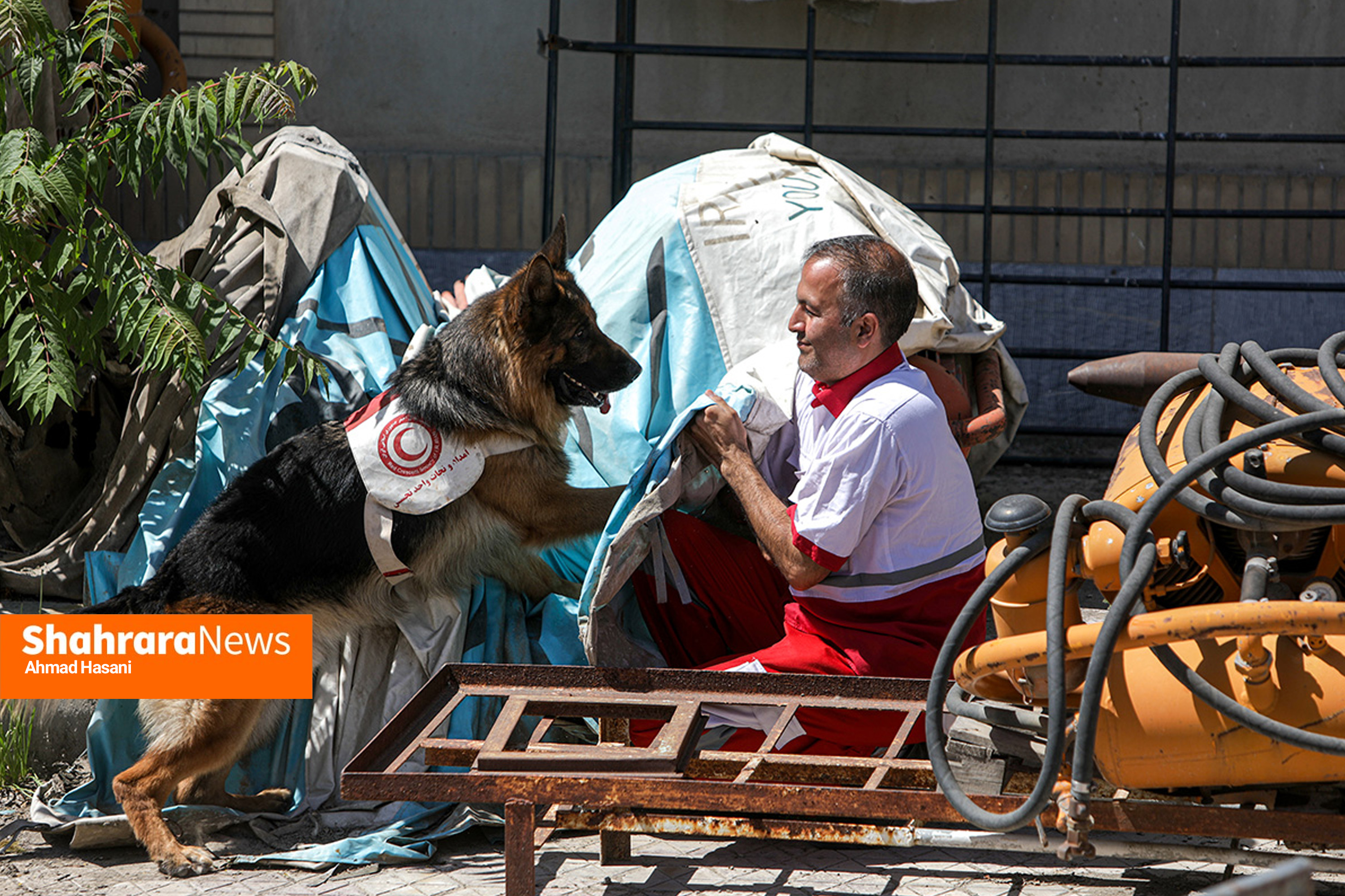 «آنست»؛ سگ‌هایی که در امداد و نجات دومی ندارند/ یک روز همراه با جری و کارن، سگ‌های جست‌وجوگر هلال احمر خراسان رضوی+ فیلم