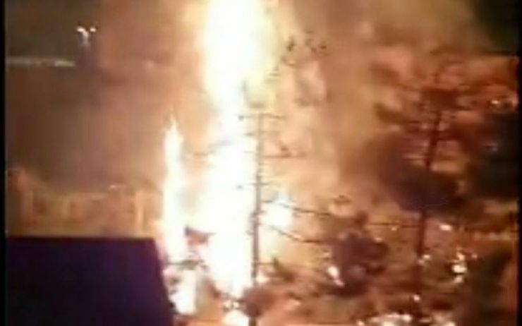 آتش سوزی درختان کاج در بولوار فکوری مشهد خسارت جانی نداشت+فیلم