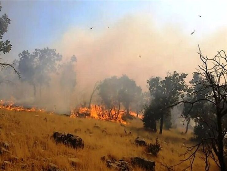 ۲۴۰ مورد آتش‌سوزی در جنگل‌ها و مراتع