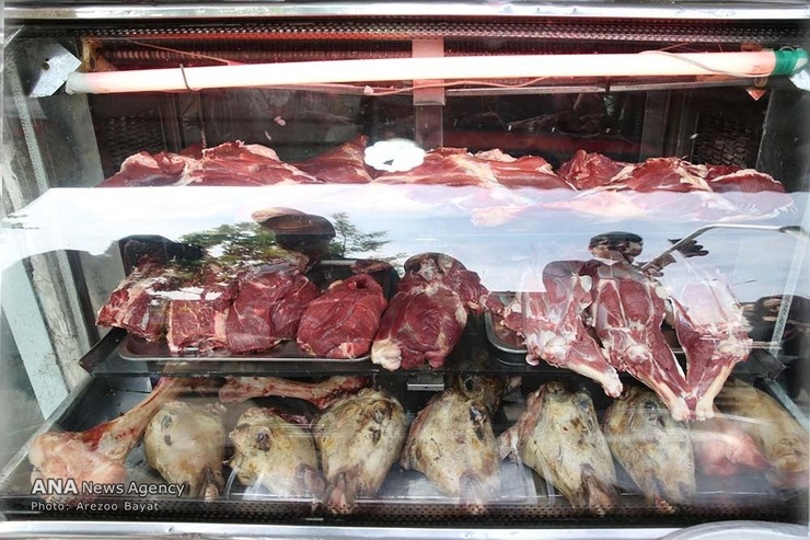 نوید ارزان‌شدن قیمت گوشت گوسفند تا ۳ هفته دیگر/ فعلا گوشت گوساله بخورید