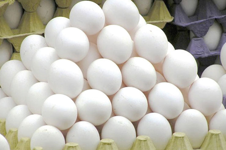 تخم‌مرغ در لانه گرانی/ افزایش ۳۰ درصدی قیمت تخم‌مرغ