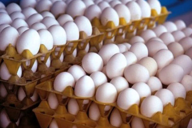قیمت هر شانه تخم‌مرغ به مرز ۳۰ هزار تومان رسید