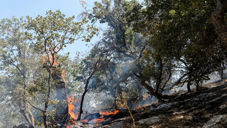 سوختن ۳۰۰ هکتار از جنگل‌ها و مراتع گچساران / دلایل ناکامی در مهار آتش‌سوزی جنگل‌ها