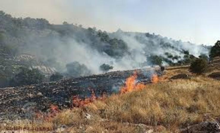 در ارتباط با آتش‌سوزی در جنگل‌های کشور ۴۰ نفر دستگیر شدند
