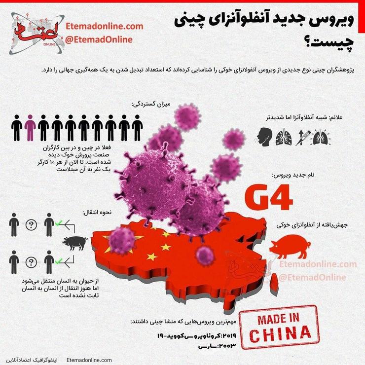 اینفوگرافی | ویروس آنفلوانزای خوکی در چین چیست؟