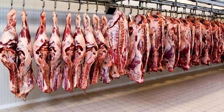معدوم سازی ۴۶ تن گوشت غیر قابل مصرف در خراسان رضوی