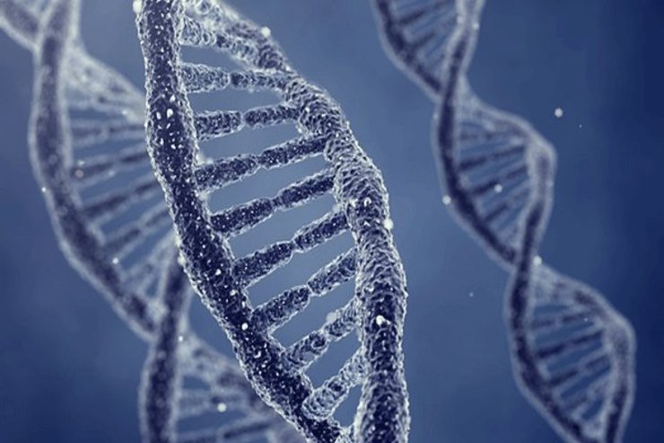 کشف راهبردی برای تولید واکسن کرونا با DNA