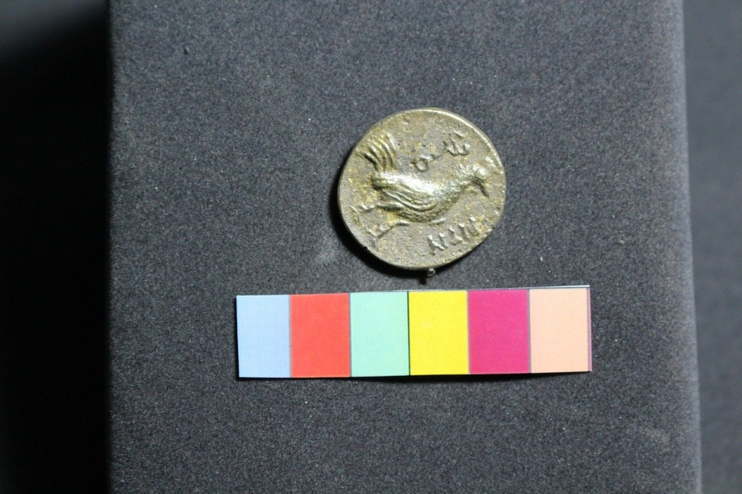 سکه‌های عصر سلوکیان در موزه بزرگ خراسان+تصاویر