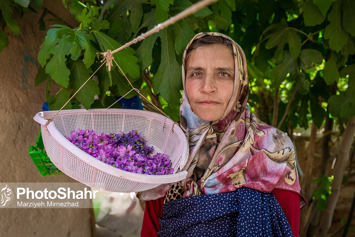 تصاویری از روستای حاجی بیگی