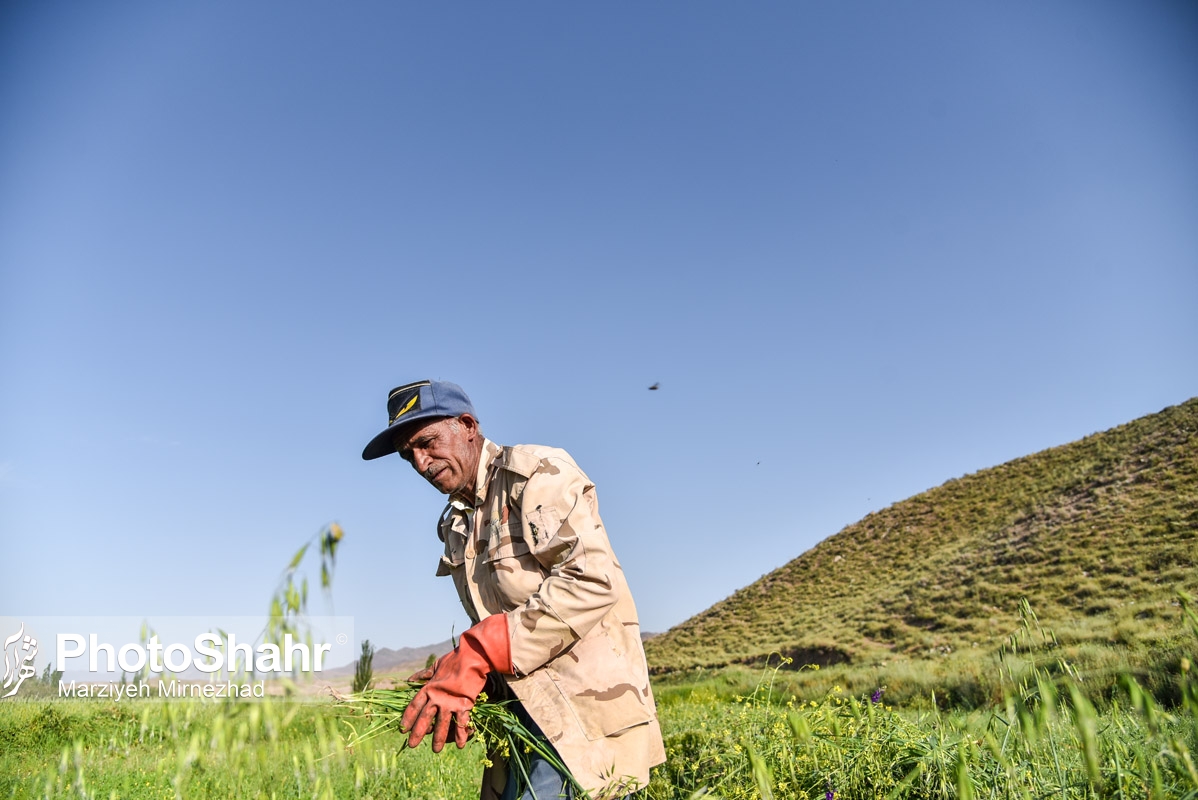 تصاویری از روستای حاجی بیگی