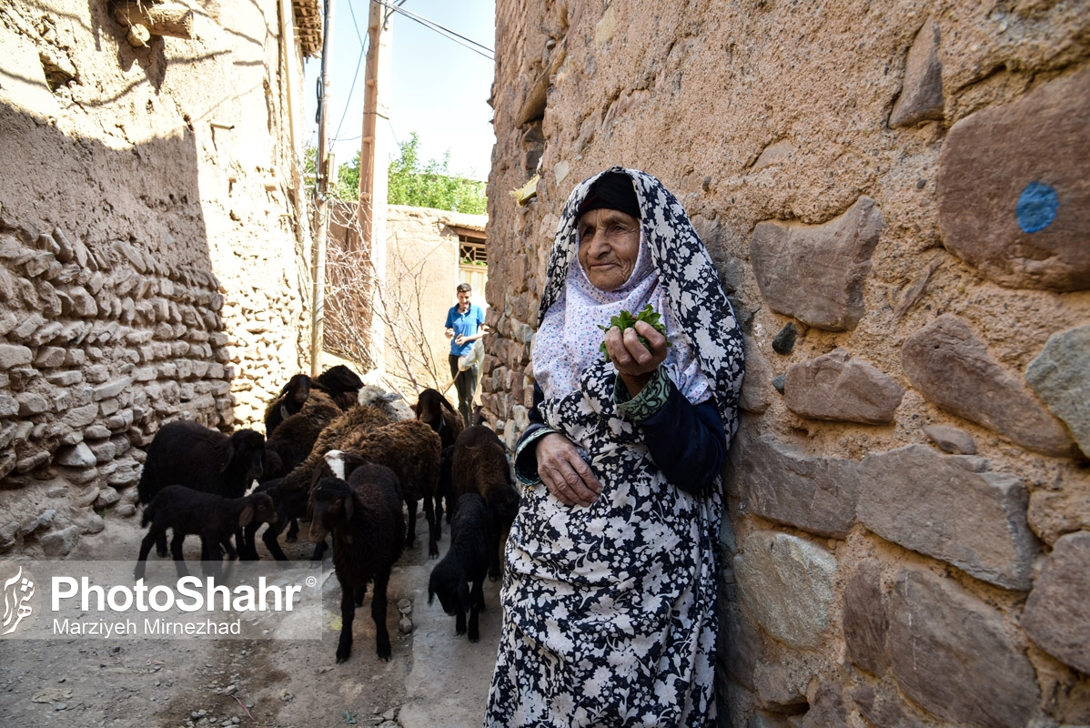 تصاویری از روستای حاجی بیگی