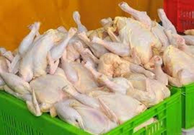 امسال صادرات مرغ به بیش از هفت هزار تن رسید