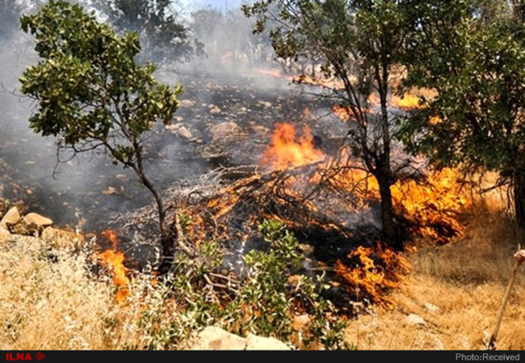 تعیین تکلیف آتش سوزی جنگل‌های کهکیلویه و بویراحمد با دو بازداشتی