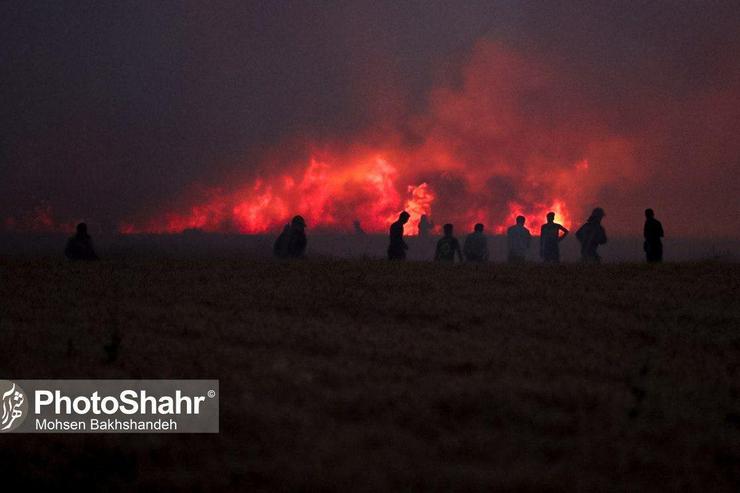 مهار آتش سوزی گسترده در مزارع گندم مشهد+ویدئو