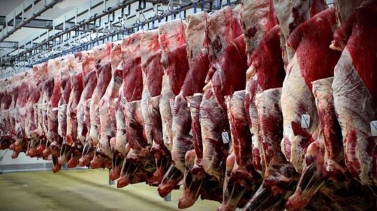 واکنش استانداری خراسان‌رضوی به افزایش قیمت گوشت به‌دلیل قاچاق دام