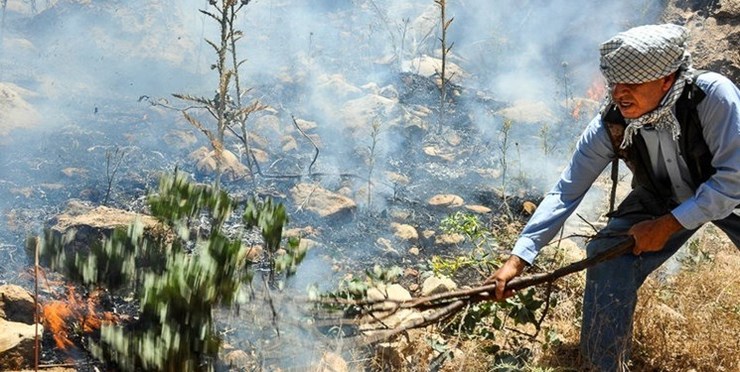 مرگ ۳ فعال محیط زیست در آتش‌سوزی مراتع پاوه