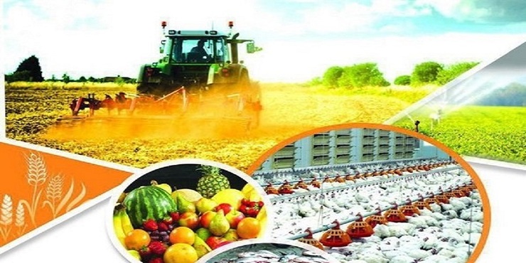 رشد ۳۰درصدی صادرات محصولات کشاورزی