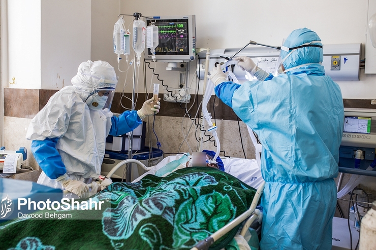 آمار کرونا در مشهد ۱ مرداد | ۲۳۰ بیمار بدحال کرونایی در بیمارستان‌های علوم پزشکی مشهد