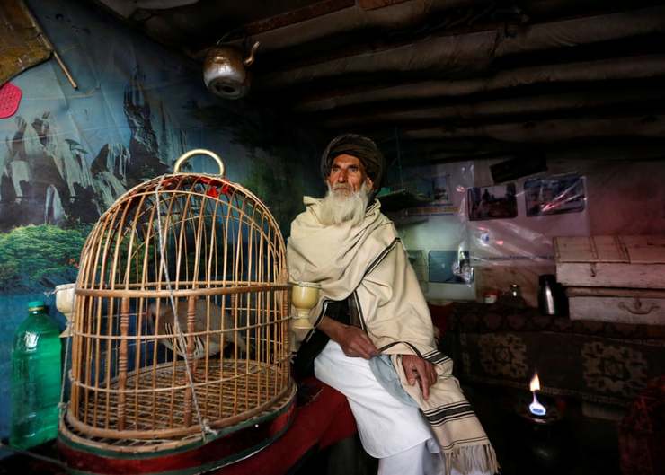 سفری به بازار پرندگان در کابل | از فروش پرنده‌های زینتی تا روباه + عکس