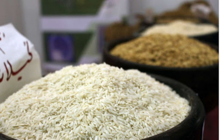 ممنوعیت واردات برنج تا پایان فصل برداشت