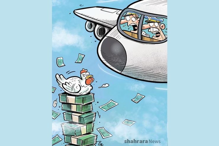 کاریکاتور | قیمت مرغ همچنان در اوج!