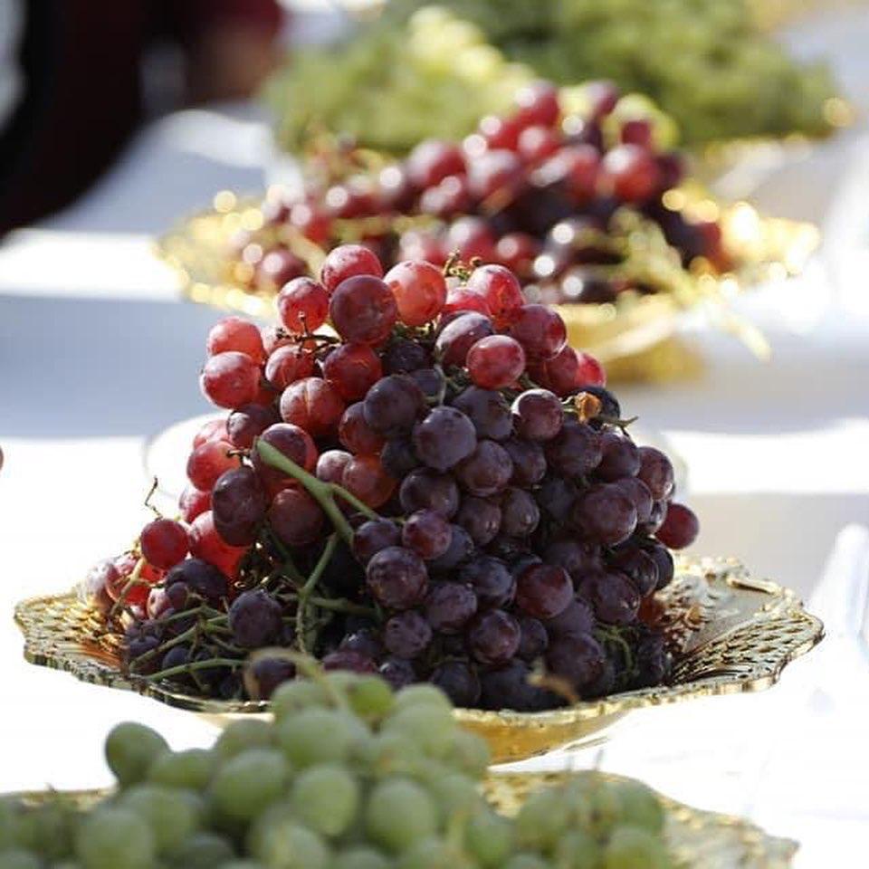 هرات شهری با ۳۶ نوع انگور | امسال ۱۴۰ هزار تن انگور در هرات برداشت می‌شود