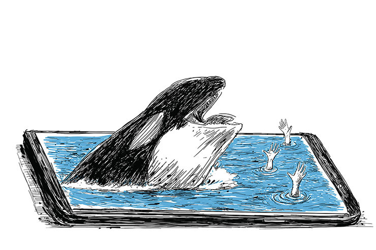 تراژدی مرگ و نهنگ | ماجرای غرق شدن سه نفر در دریای خزر خودکشی بود یا اتفاق؟