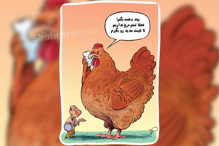 کاریکاتور | افزایش قیمت تخم مرغ