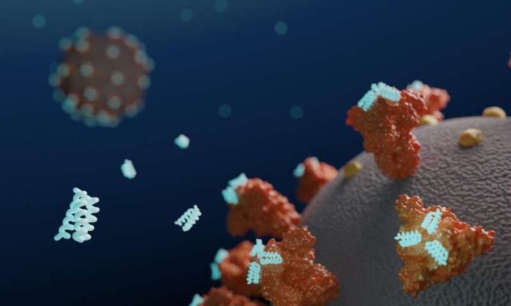 مهار ویروس کرونا با پروتئین‌های مصنوعی