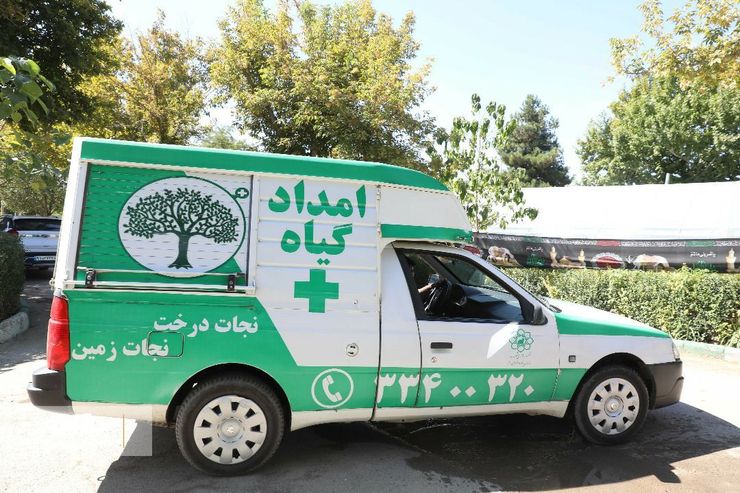 امدادرسانی به بیش از ۶۵۰۰ اصله درخت در مشهد