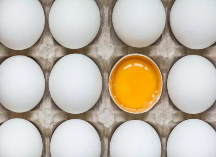 نرخ مصوب تخم مرغ تغییر کرد