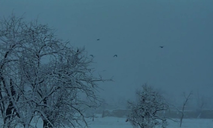 نگاهی به فیلم «زمستان است» رفیع پیتز | هم‌دلی زبان شعر و موسیقی و سینما
