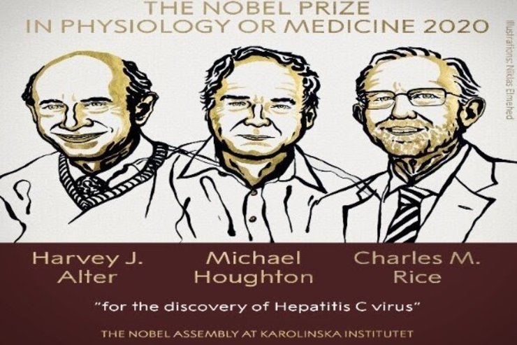 نوبل پزشکی ۲۰۲۰ به کاشفان ویروس هپاتیت C رسید
