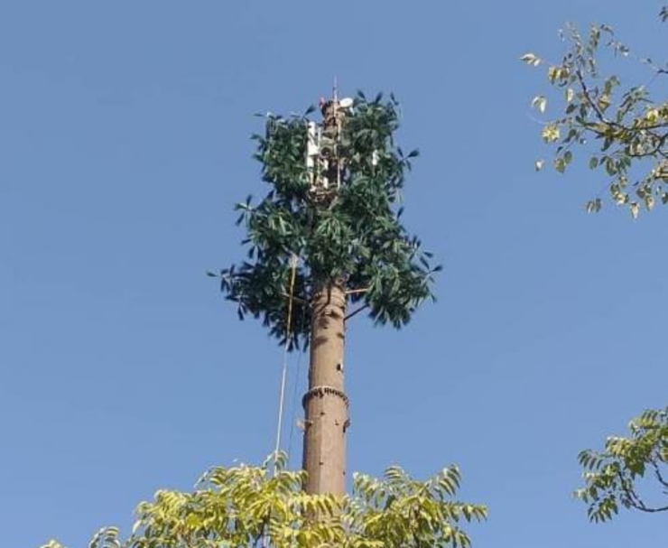 نصب دومین دکل درختی مخابراتی در مشهد