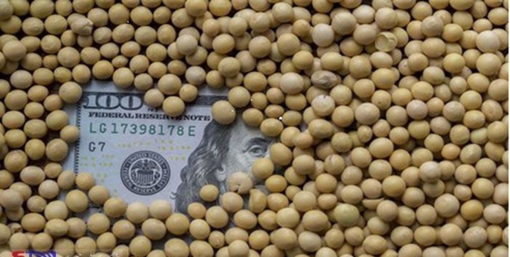 دولت اقدام به حذف ارز دولتی از واردات نهاده‌های دامی کند