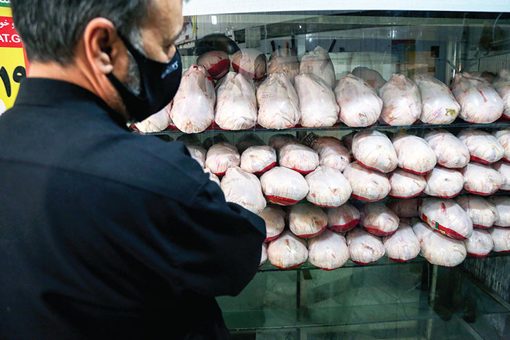 افزایش قیمت مرغ تا مرز ۲۰ هزار تومان