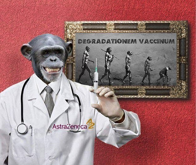 واکسن کرونا آکسفورد شما را به میمون تبدیل می‌کند! + تصاویر