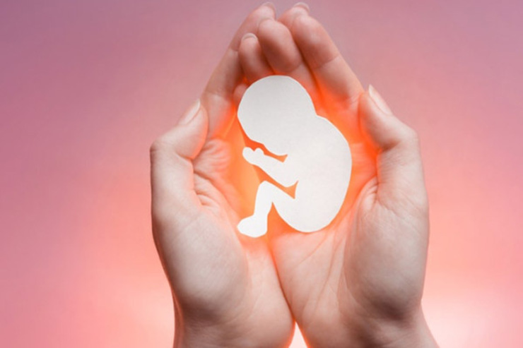 ۴ عاملی که سقط جنین را به مرز بحران رسانده است