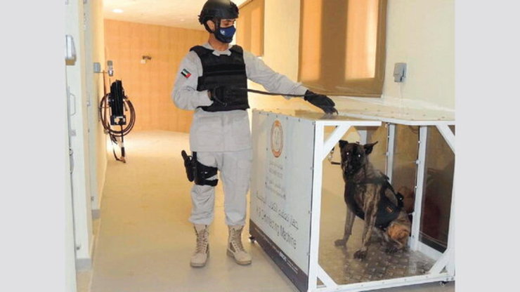 به‌کارگیری سگ‌های کرونایاب در فرودگاه ابوظبی