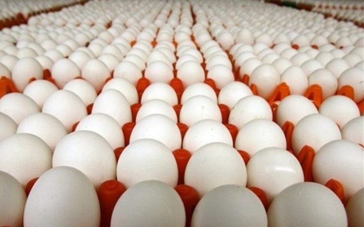 ممنوعیت صادرات تخم‌مرغ به چه قیمتی؟