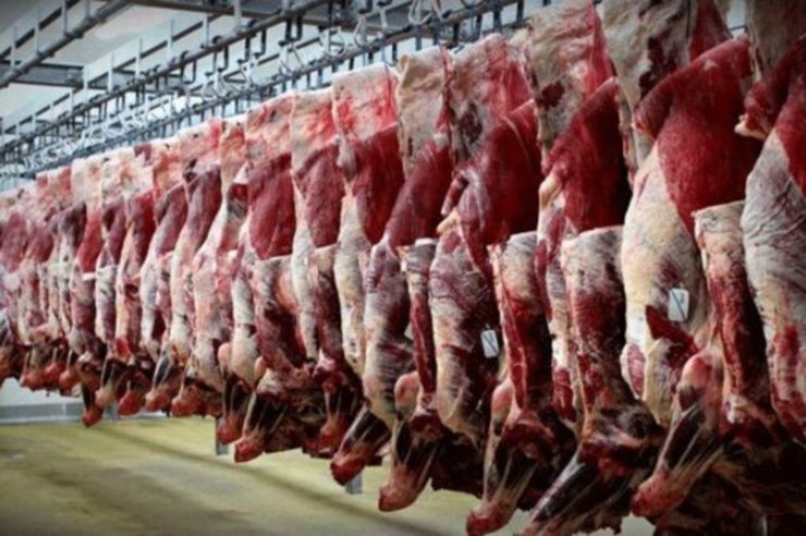 گوشت ارزان شد |  نرخ هر کیلو شقه گوسفندی در بازار امروز چند؟
