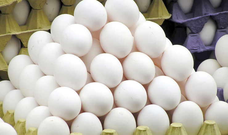 قیمت رسمی تخم‌مرغ حدود ۱۴ هزار و ۵۰۰ تومان برای مصرف‌کننده است | مردم گزارش تخلفات این بازار را اعلام کنند