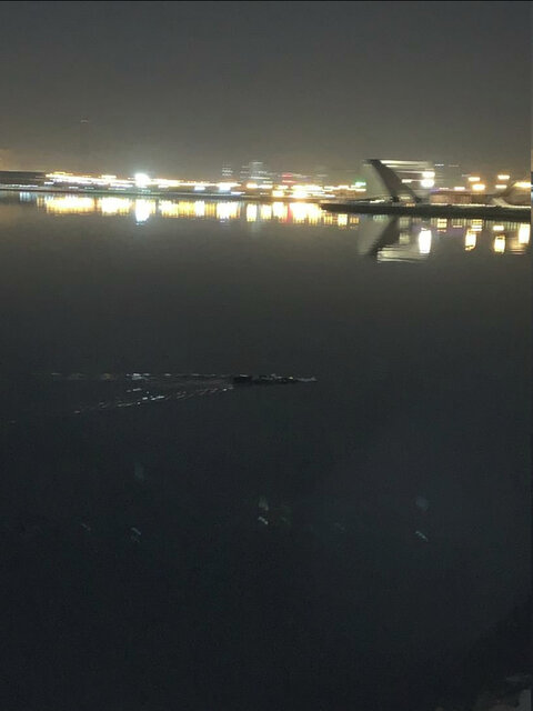 مشاهده رد پای تمساح در دریاچه چیتگر تهران + عکس