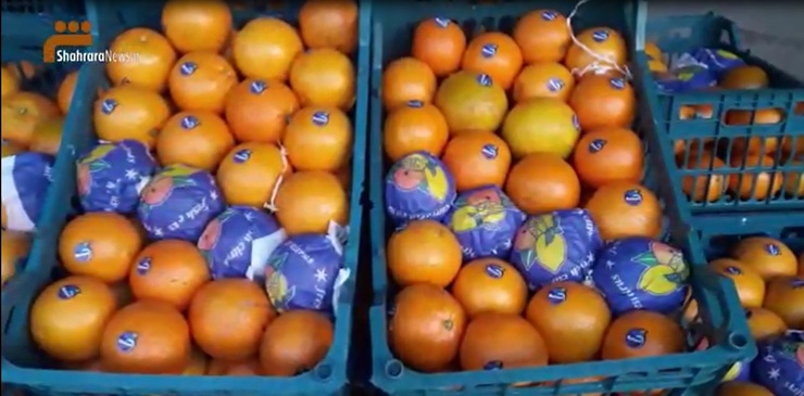 ویدئو | فرصت خرید میوه از مکافات کشیده‌های بامرام