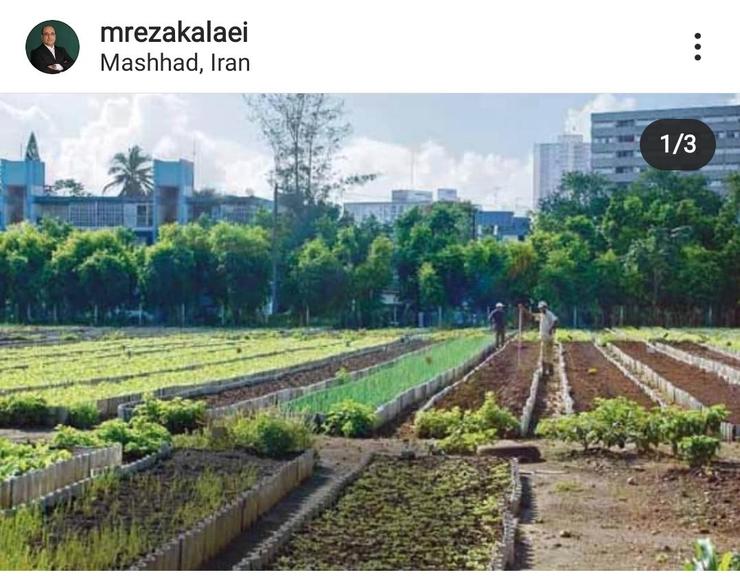 پست اینستاگرامی شهردار مشهد درباره پروژه احداث پارک کشاورزی شهری با نام موقت چهل‌بازه ۲